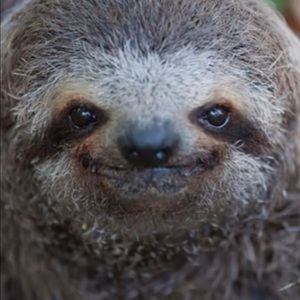 Meet your Posher, Keaton